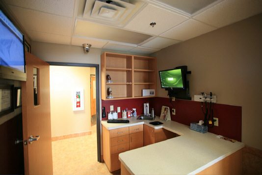 Compassionate pet hospice and euthanasia services in Tulsa, OK