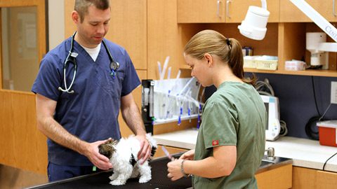 Veterinarian near Bixby, OK – Woodland West Animal Hospital