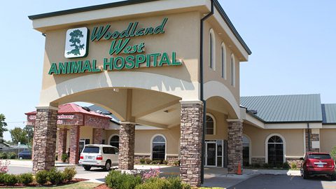 Veterinarian near Glenpool, OK – Woodland West Animal Hospital
