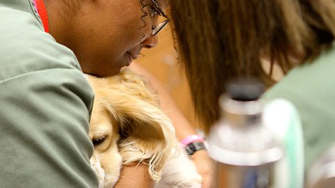 Veterinarian near Sapulpa, OK – Woodland West Animal Hospital