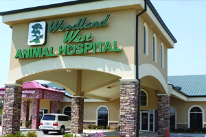 Frequently asked questions at Woodland West Animal Hospital in Tulsa, OK