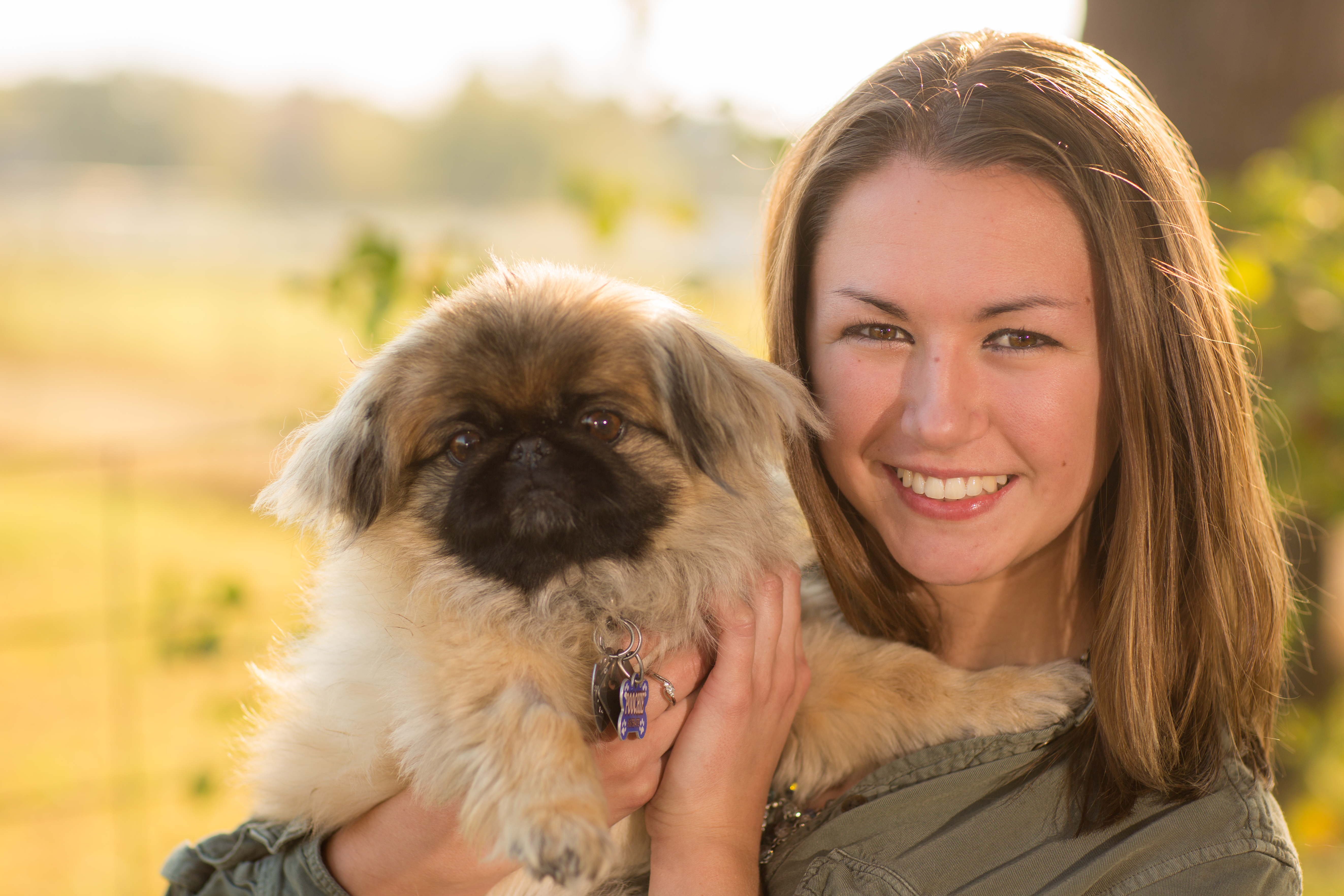 Veterinary financing options at Woodland West Animal Hospital in Tulsa, OK