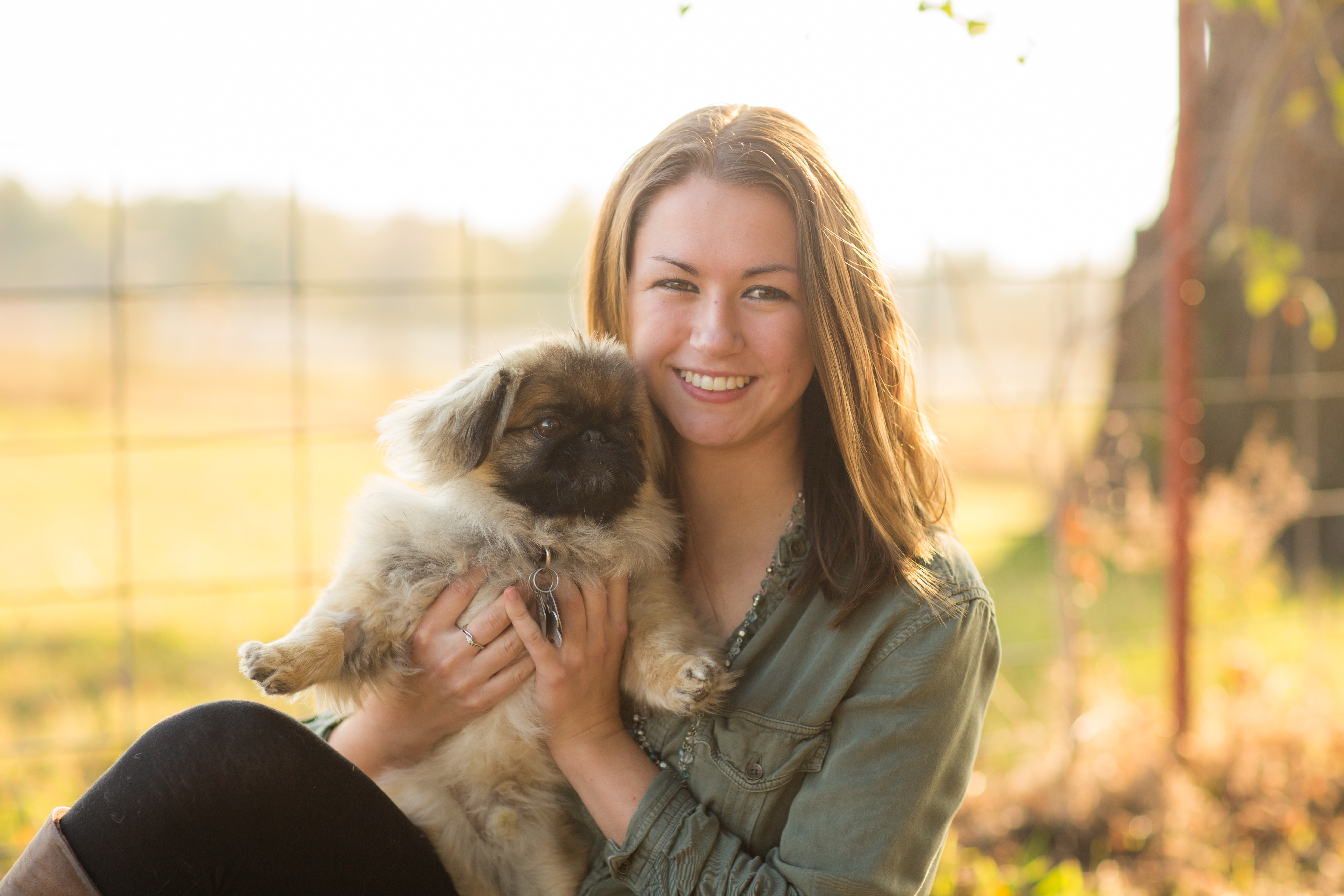 Pet dental procedures at Woodland West Animal Hospital in Tulsa, OK